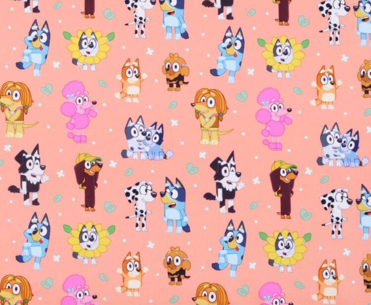 🐾 Heeler Adventures Collection