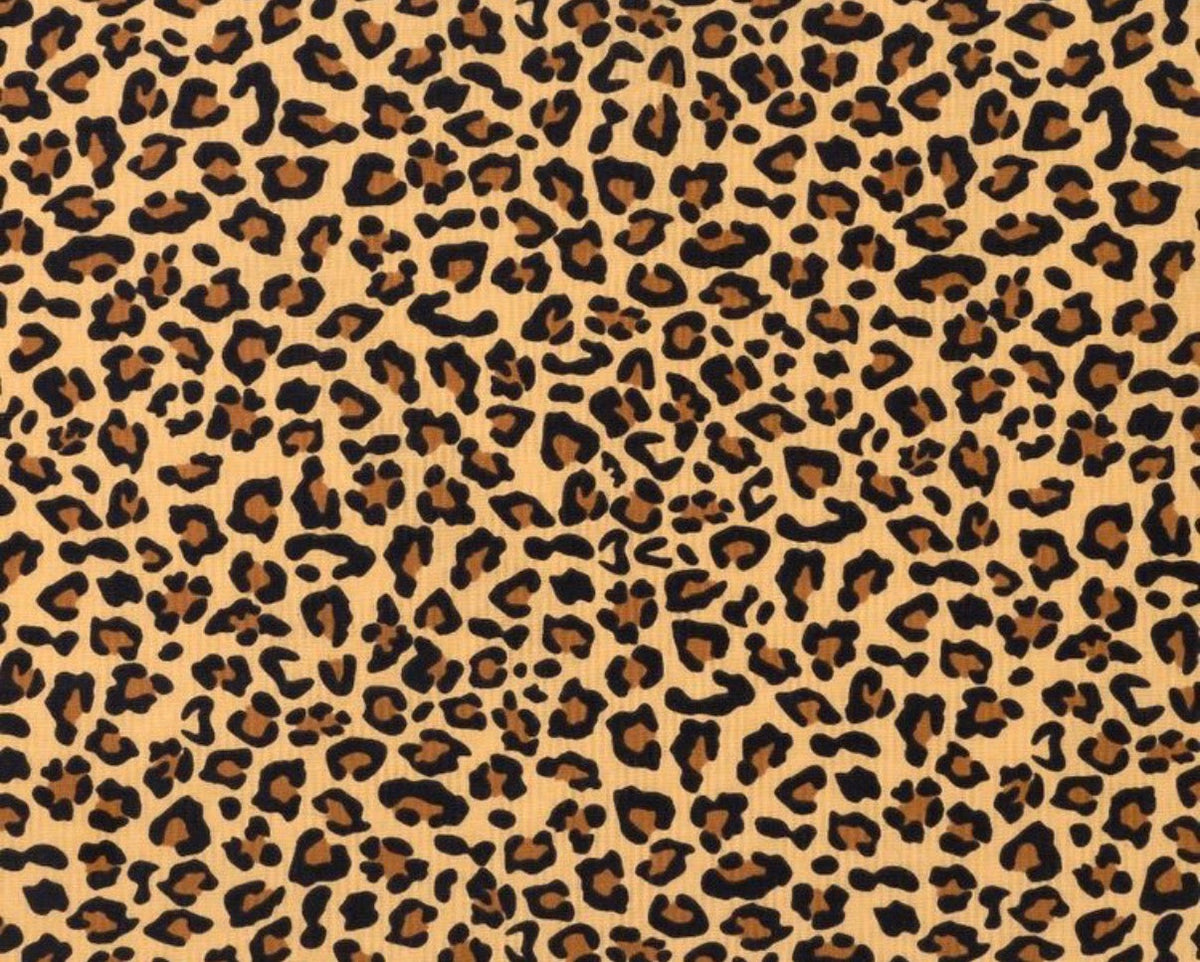 🐆 Wild Elegance