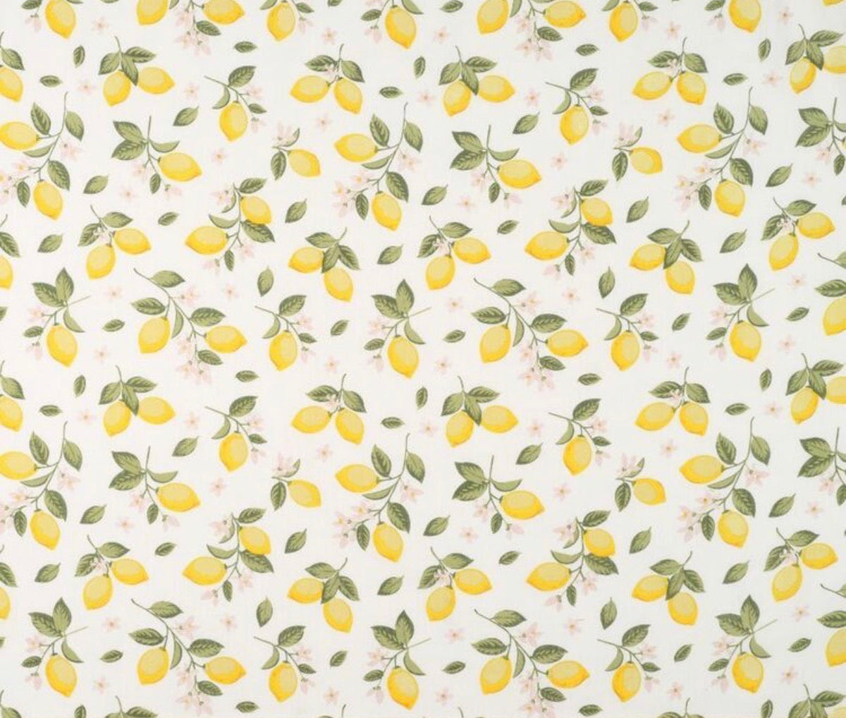 🍋 Lemon Blossom